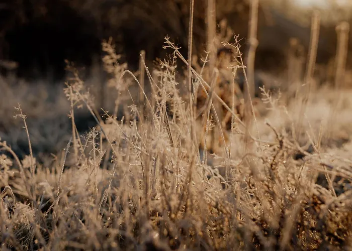 Ferienhaus Flowfort - Riesengebirgsblick Wellness By Interhome